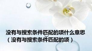没有与搜索条件匹配的项什么意思（没有与搜索条件匹配的项）