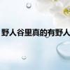 野人谷里真的有野人吗？