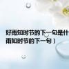 好雨知时节的下一句是什么（好雨知时节的下一句）