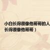 小白长得很像他哥哥的人（小白长得很像他哥哥）