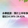 永泰能源：预计上半年净利同比增长14.54%-24.41%