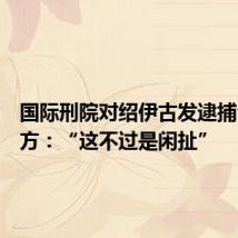 国际刑院对绍伊古发逮捕令，俄方：“这不过是闲扯”