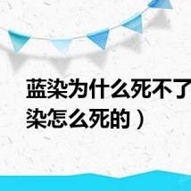 蓝染为什么死不了（蓝染怎么死的）
