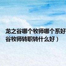 龙之谷哪个牧师哪个系好(龙之谷牧师转职转什么好)