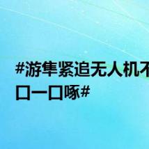 #游隼紧追无人机不放一口一口啄#