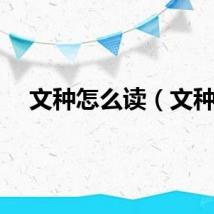 文种怎么读（文种）