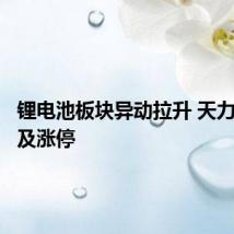 锂电池板块异动拉升 天力锂能触及涨停