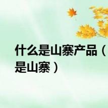 什么是山寨产品（什么是山寨）