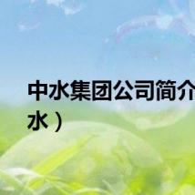 中水集团公司简介（中水）