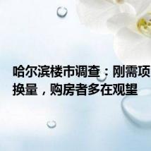 哈尔滨楼市调查:刚需项目以价换量,购房者多在观望