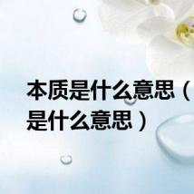 本质是什么意思（实质是什么意思）