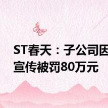 ST春天:子公司因违法宣传被罚80万元