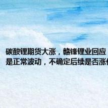 碳酸锂期货大涨,赣锋锂业回应:可能只是正常波动,不确定后续是否涨价