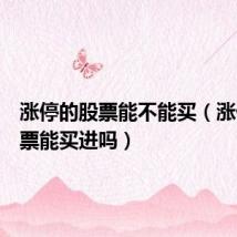 涨停的股票能不能买(涨停的股票能买进吗)
