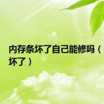 内存条坏了自己能修吗（内存条坏了）