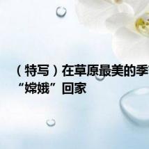 (特写)在草原最美的季节守护“嫦娥”回家