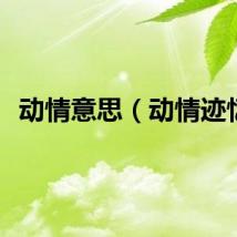 动情意思（动情迹忆）