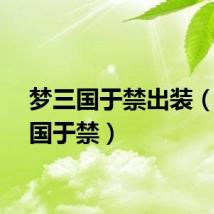 梦三国于禁出装（梦三国于禁）
