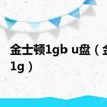 金士顿1gb u盘(金士顿1g)