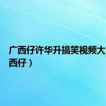 广西仔许华升搞笑视频大全（广西仔）