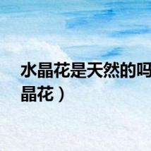 水晶花是天然的吗（水晶花）