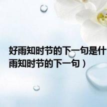 好雨知时节的下一句是什么(好雨知时节的下一句)