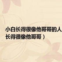 小白长得很像他哥哥的人（小白长得很像他哥哥）