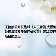 工信部公开征集对《人工智能 大模型训练数据处理流程及质量评价模型》等12项行业标准计划项目的意见
