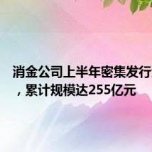 消金公司上半年密集发行金融债,累计规模达255亿元