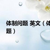 体制问题 英文（体制问题）