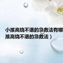 小孩高烧不退的急救法有哪些(小孩高烧不退的急救法)