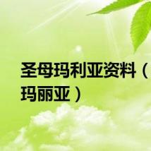 圣母玛利亚资料（圣母玛丽亚）