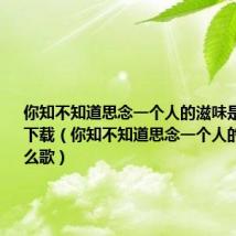 你知不知道思念一个人的滋味是什么歌曲下载(你知不知道思念一个人的滋味是什么歌)