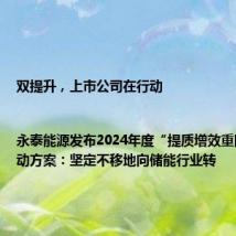 双提升,上市公司在行动|永泰能源发布2024年度“提质增效重回报”行动方案:坚定不移地向储能行业转