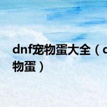 dnf宠物蛋大全(dnf宠物蛋)