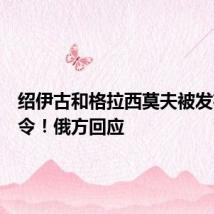 绍伊古和格拉西莫夫被发布逮捕令！俄方回应