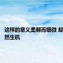 这样的意义柔弱而细微 却藏着盎然生机