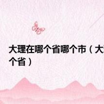 大理在哪个省哪个市（大理在哪个省）