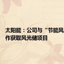 太阳能:公司与“节能风电”合作获取风光储项目