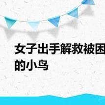 女子出手解救被困天台的小鸟
