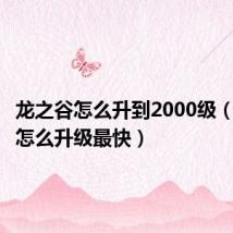 龙之谷怎么升到2000级(龙之谷怎么升级最快)