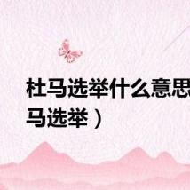 杜马选举什么意思（杜马选举）