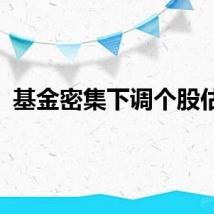 基金密集下调个股估值
