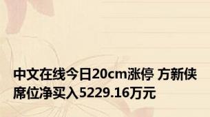 中文在线今日20cm涨停 方新侠席位净买入5229.16万元