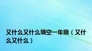 又什么又什么填空一年级（又什么又什么）