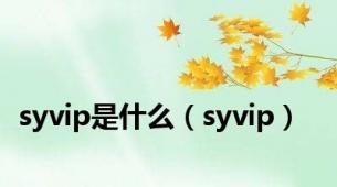 syvip是什么（syvip）