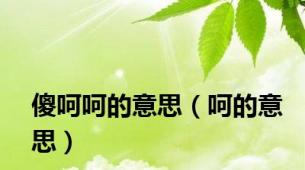 傻呵呵的意思（呵的意思）