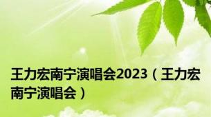 王力宏南宁演唱会2023（王力宏南宁演唱会）