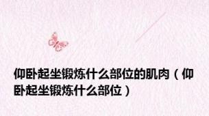 仰卧起坐锻炼什么部位的肌肉（仰卧起坐锻炼什么部位）