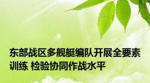 东部战区多舰艇编队开展全要素训练 检验协同作战水平